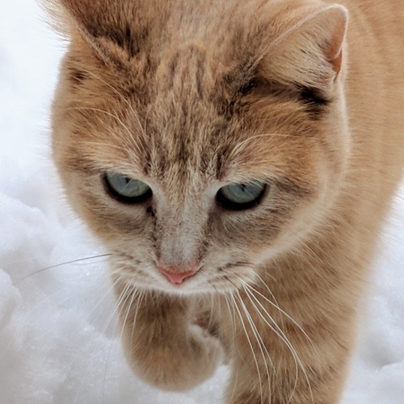 Meet your Posher! Hi I'm sandra- - Picture 5 of 5